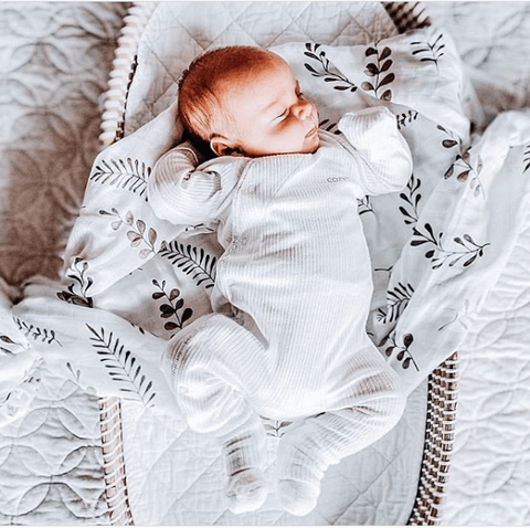 Snuggle Hunny Kids - Wild Fern Warm Grey Organic Muslin Wrap - Eco Child