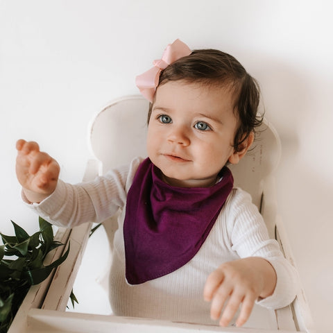 Snuggle Hunny Kids - Fig Dribble Bib - Eco Child