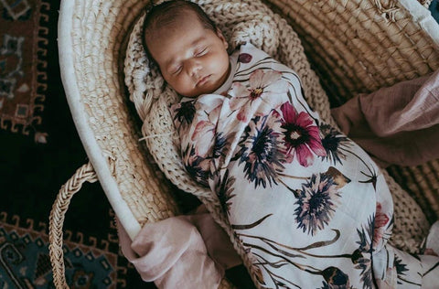 Pop Ya Tot - All About Aster - 100% Organic Cotton Swaddle - Eco Child