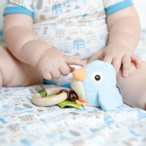 Natural, Environment Friendly, Kids Safe, Teething Rattles, Teethers, Comforters