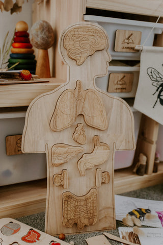 Qtoys -  Wooden Anatomy Puzzle - Eco Child
